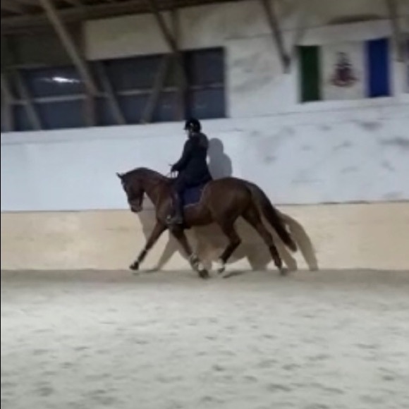 Meet your Posher, Amanda - Picture 1 of 1